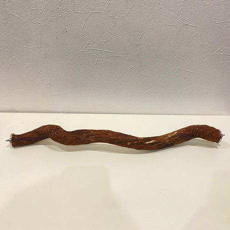 殿様パーチ（自然木ツタ） HOEI465サイズ  直径約2.5cm