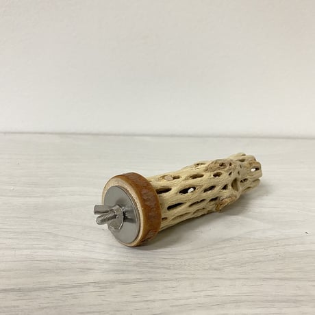 【mamii__038様専用】カクタスパーチ極小　直径2〜3cm／長さ10cm
