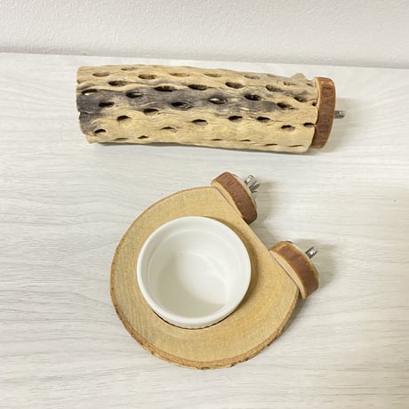 カクタスパーチ 中サイズ 直径（約5cm）長さ/15cm