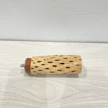 カクタスパーチ⑦  小 直径約4cm/11cm