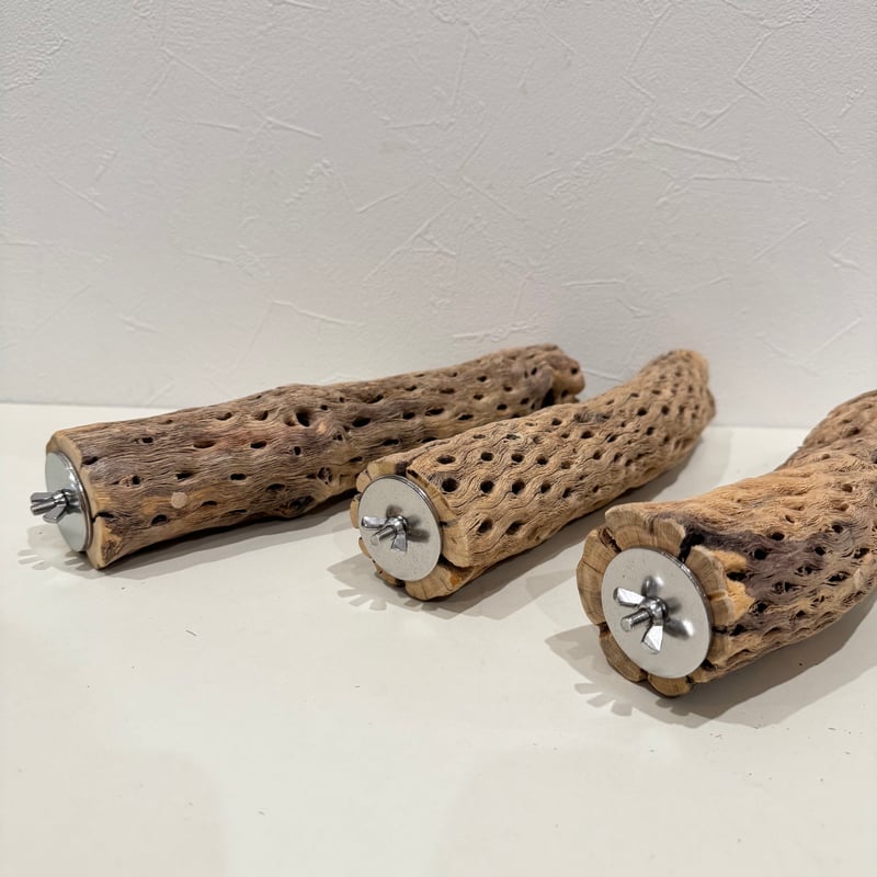 そられん様専用】カクタスパーチ 直径約5-5.5cm/長さ30cm【インコ