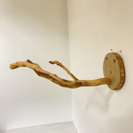 ピノキオの鼻 ⑥
