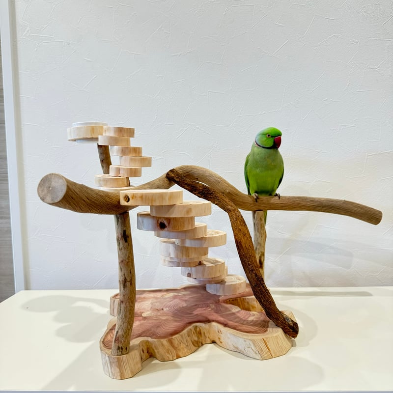 螺旋階段とツタパーチのバードアスレチック【インコのおもちゃ・自然木