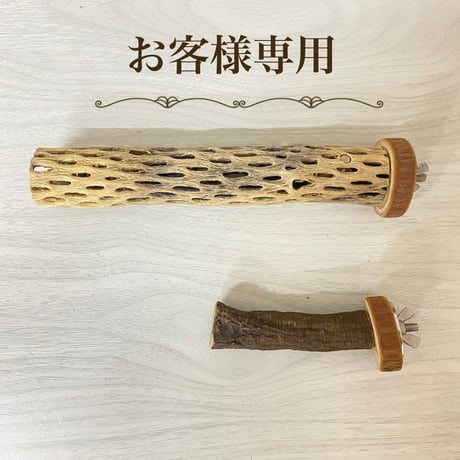 【とも様専用】自然木（ツタ）パーチ・カクタスパーチ