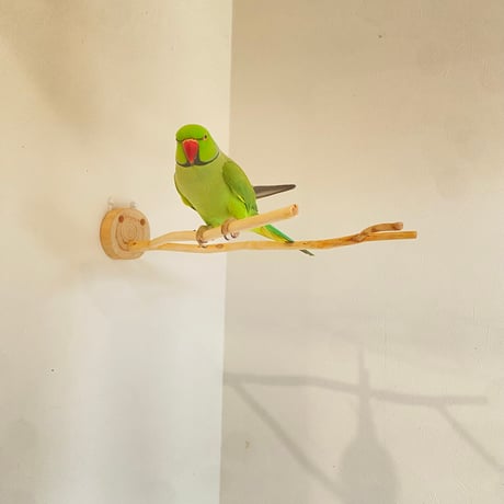 桧のピノキオの鼻 ④【インコ・小鳥のおもちゃ　自然木の止まり木】