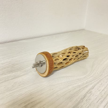 カクタスパーチ⑭ 極小サイズ 直径（約2-3cm）長さ/10cm