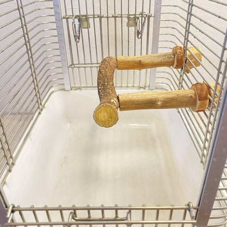使い方いろいろ 屋上ツタパーチ【F】  横25cm 高さ8cm