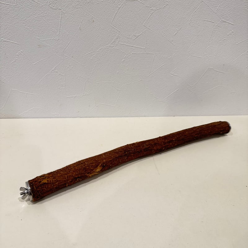 殿様パーチ（自然木ツタ） HOEI465サイズ 直径約3cm シロハラインコ