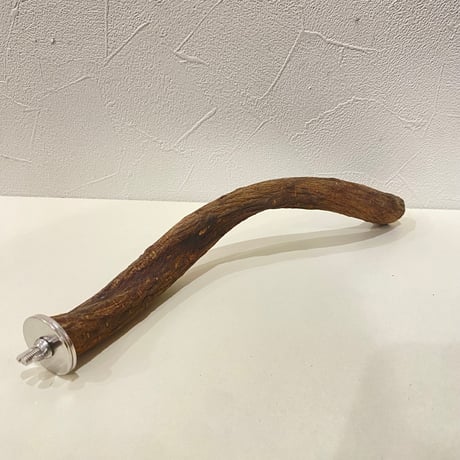 自然木（ツタ）パーチ 直径約2.2cm/長さ25cm