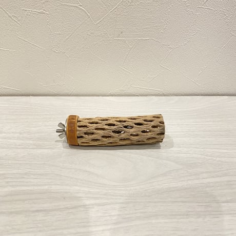カクタスパーチ⑩ 極小直径2-3cm/10cm