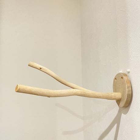 ピノキオの鼻 ③ 桧（ヒノキ）