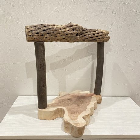 カクタスのスタンドパーチ② 大型さん用