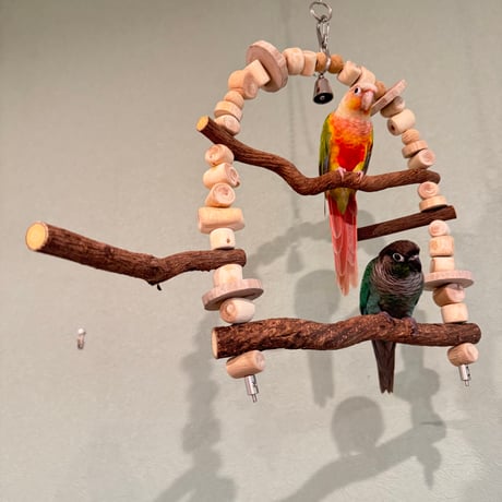 ポテトヘッドくん　ツタステンレスベルのカスタムブランコ【自然木 天然木 止まり木インコ・小鳥のおもちゃ】