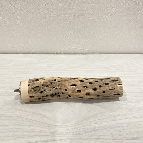 カクタスパーチ⑨ 極小サイズ直径3cm前後/15cm