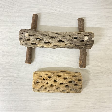 【yuzunomama6970様専用】カクタスパーチ・置き型カクタスパーチ（介護・幼鳥用）