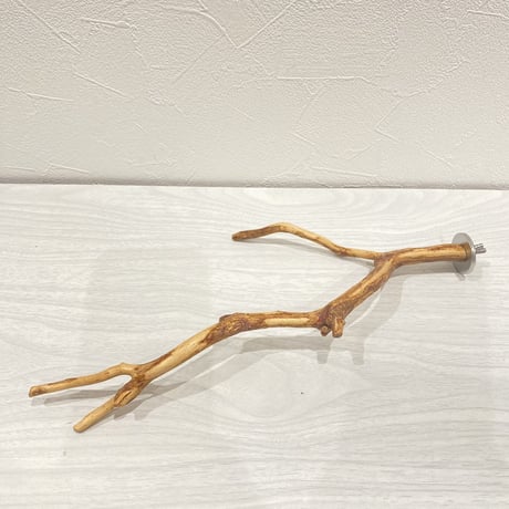 自然木（カイヅカイブキ）のパーチ④　直径0.5～1.5cm／長さ29cm