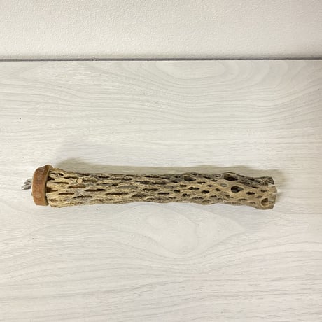 カクタスパーチ⑯ 極小サイズ 直径（約2-3cm）長さ/21.5cm