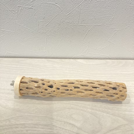 カクタスパーチ15  小　直径4cm前後 長さ20cm