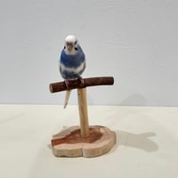ツタのスタンドパーチ【インコ 体重測定用】③　インコ・小鳥の健康管理に