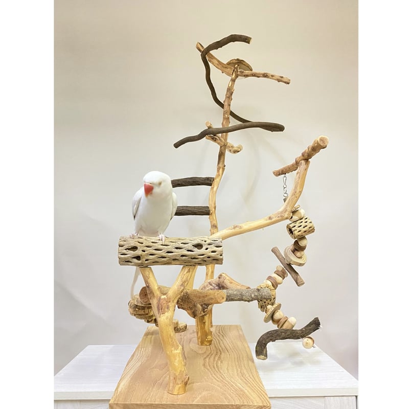 komi_2915様専用】シロハラさん用バードアスレチック | 自然木の鳥用品 
