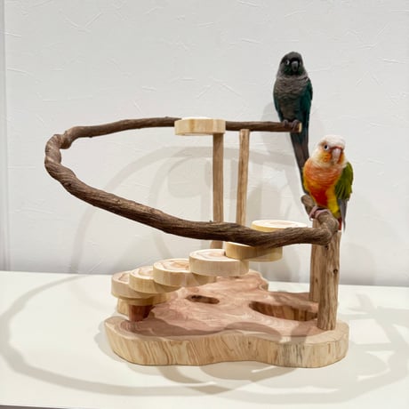 螺旋階段とツタのスタンドパーチ【インコのおもちゃ・ブランコ・自然木のとまり木】バードアスレチック