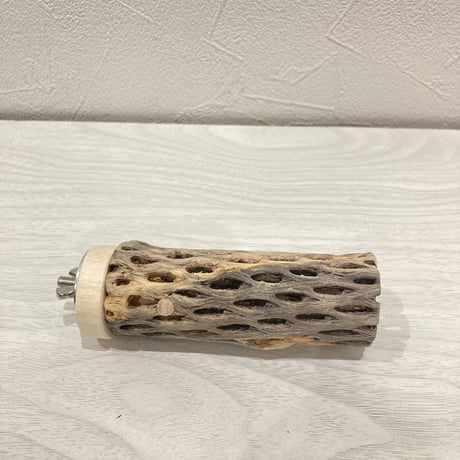 カクタスパーチ【1】小 直径約3.5cm 長さ10cm