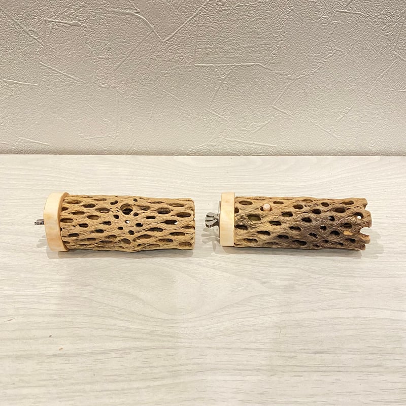 カクタスパーチ　ショート　2本セット カクタスパーチショート2本セット