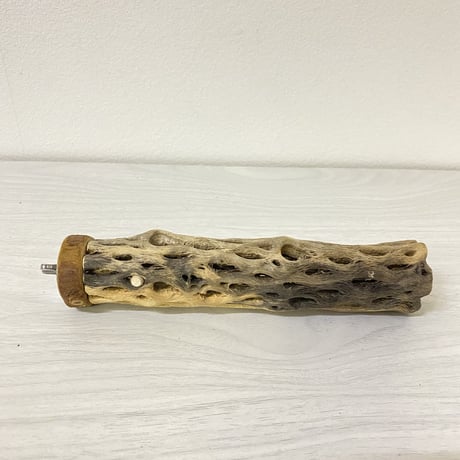 カクタスパーチ⑦ 小サイズ 直径（約3-4cm）長さ/17cm