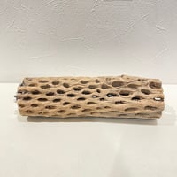 カクタスパーチ(Q) 直径約5.5cm/長さ19.5cm