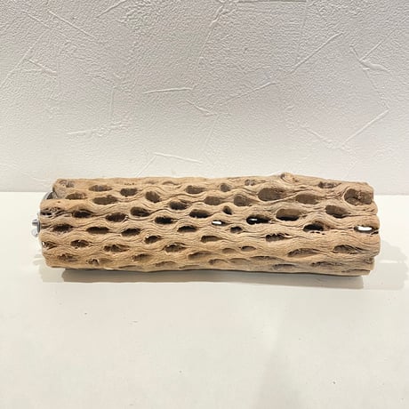 カクタスパーチ | STORES