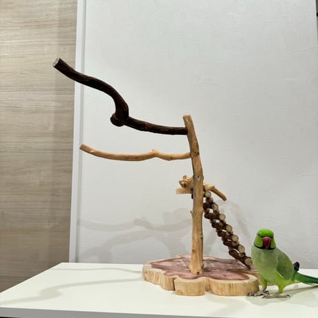 自然木（ツタ・貝塚伊吹）とハシゴのバードアスレチック【インコのおもちゃ・自然木のとまり木】