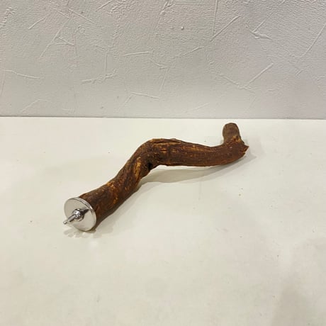 自然木（ツタ）パーチ⑩直径約2~2.5cm/長さ21cm