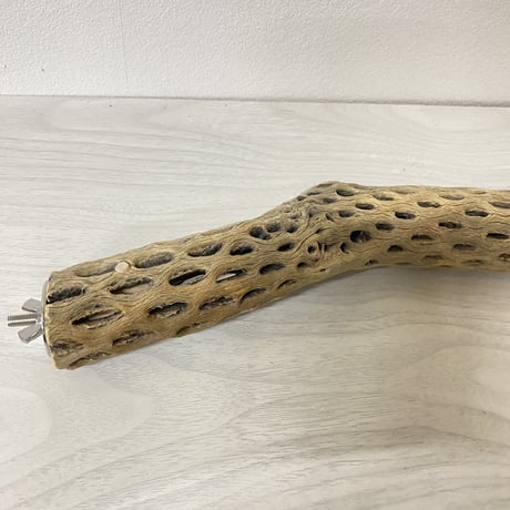 【M様専用】ケージサイズカクタスパーチ 中直径約5.5cm HOEI465