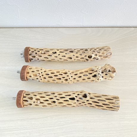 【momorin様専用】カクタスパーチ 極小20cm×3