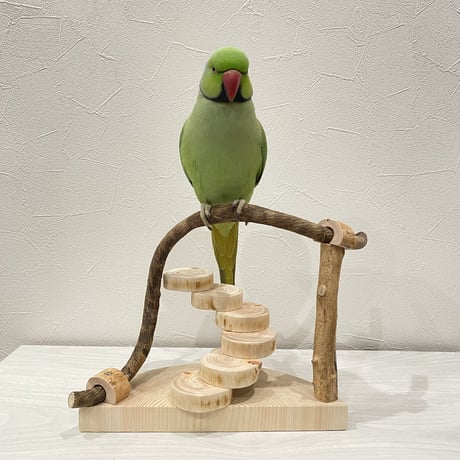 ツタと螺旋階段のスタンドパーチ①