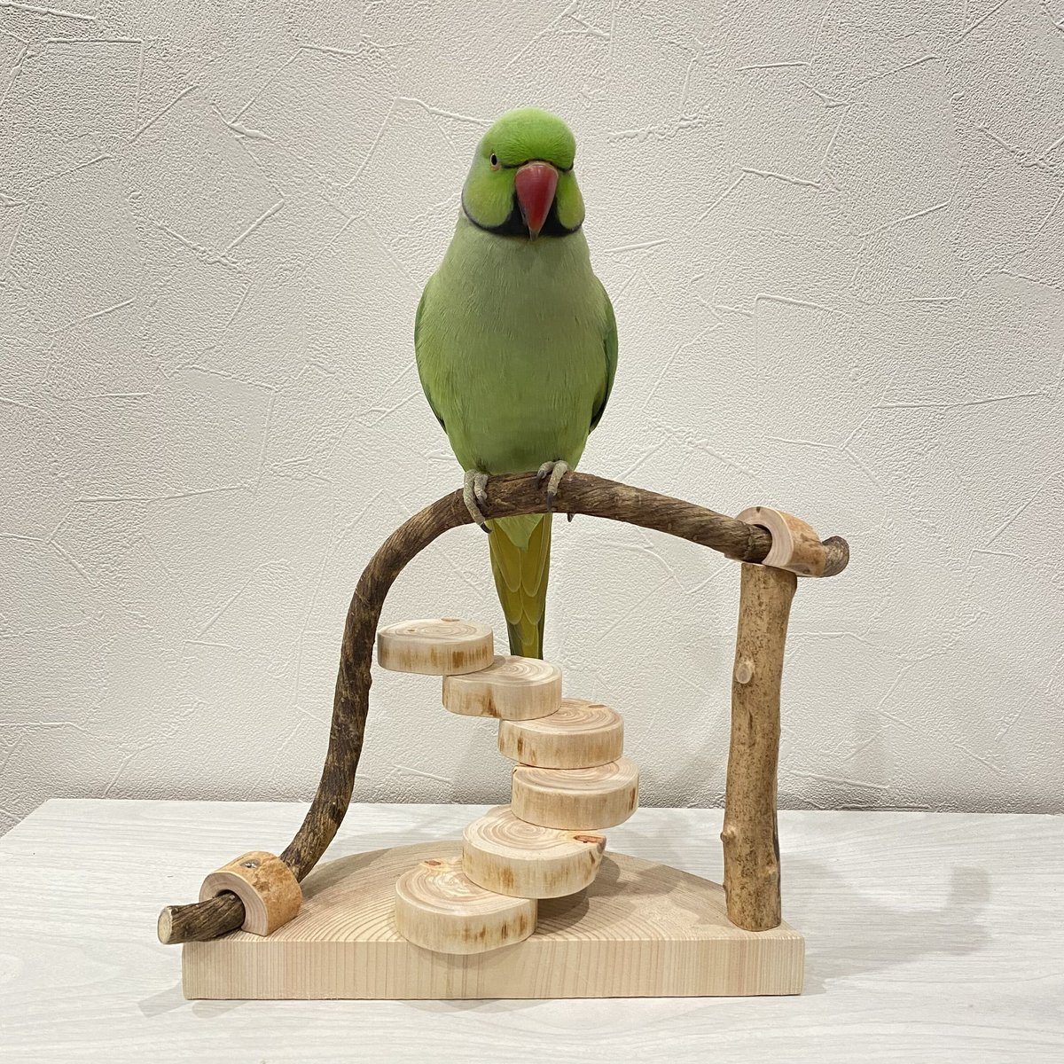 ツタと螺旋階段のスタンドパーチ① | 自然木の鳥用品 鳥豆堂