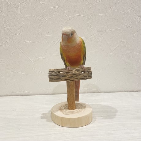 【体重測定用】カクタスのスタンドパーチ④　パーチ長さ10cm／高さ約10cm
