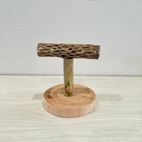 【体重測定用】カクタスのスタンドパーチ① 長さ12cm／足高さ8cm
