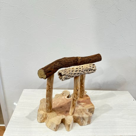 ツタとカクタスのスタンドパーチ【B】