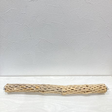 ケージサイズカクタスパーチ④ 小サイズ直径3-4cm HOEI465サイズ