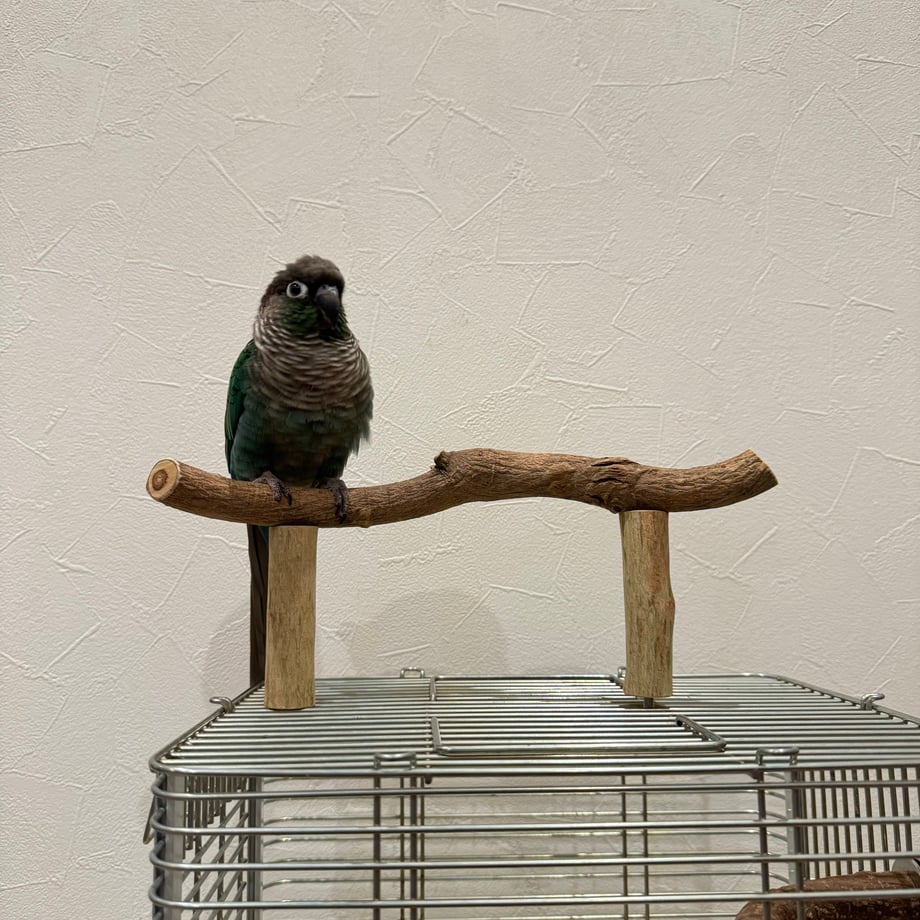 65e8f6d62cd2e1063169c5d2