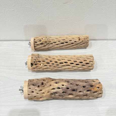 【S様専用】中サイズカクタスパーチ  20cm