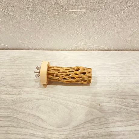 【M様専用】極小 カクタスパーチ8cm