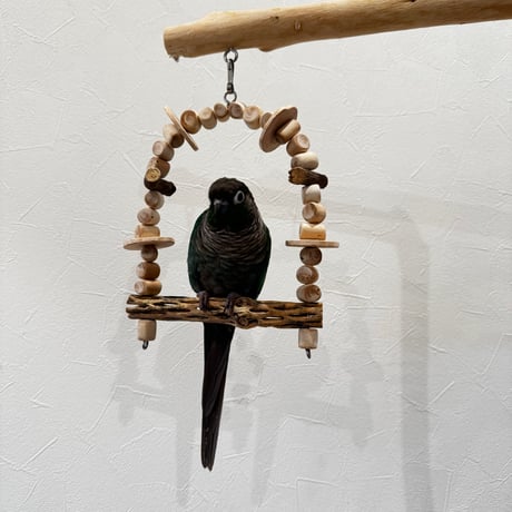 小型さん用カクタスと天然ウッドビーズのブランコ④【インコ おもちゃ サボテンの骨】