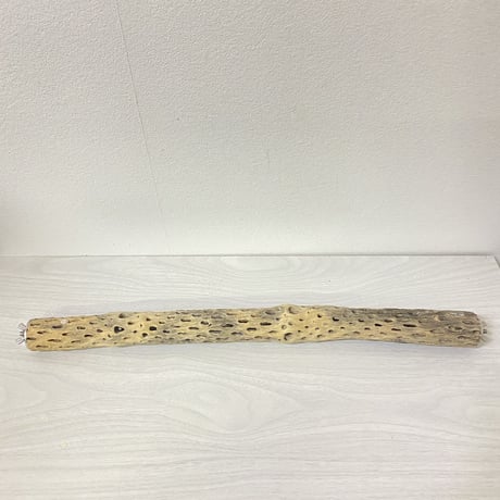 ケージサイズカクタスパーチ④  極小直径2-3cm HOEI465サイズ