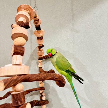 【小型から中型さん用】ポテトヘッドくん　カスタムアスレチックブランコ【インコのおもちゃ・自然木のとまり木】
