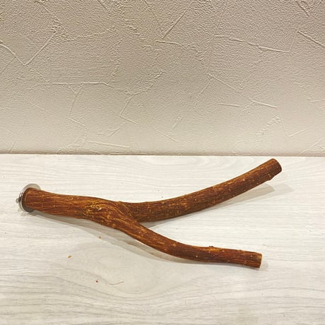 自然木（ツタ）パーチ④ 直径約1.2~2cm/最長25cm