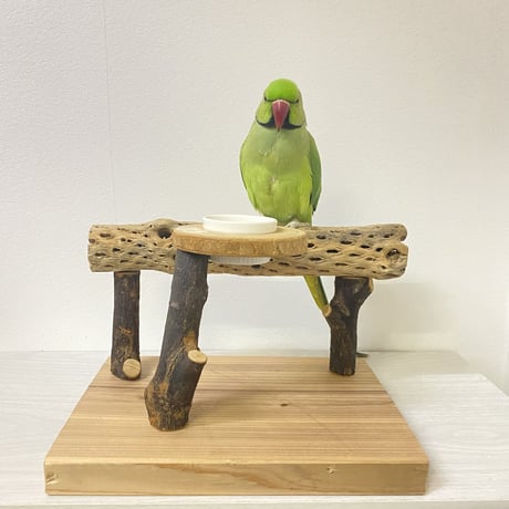 おやつ入れ付き カクタススタンドパーチ 中型さん用
