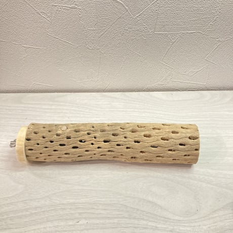 カクタスパーチ【L 】中 直径5cm前後 長さ20cm