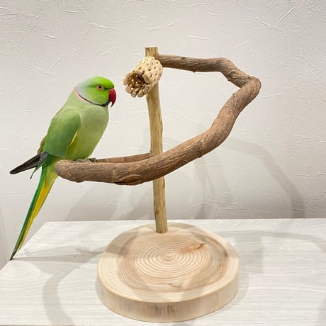 ツタのぐるりんスタンドパーチ③　カクタス付き